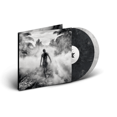 Vinyl - Rohan Houssein - L'Art & la Beauté