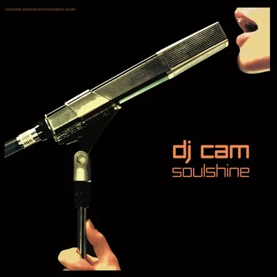 Vinyl - DJ CAM - Soulshine - Diggers Factory
