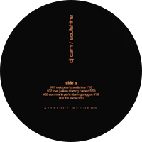 Vinyl - DJ CAM - Soulshine - Diggers Factory