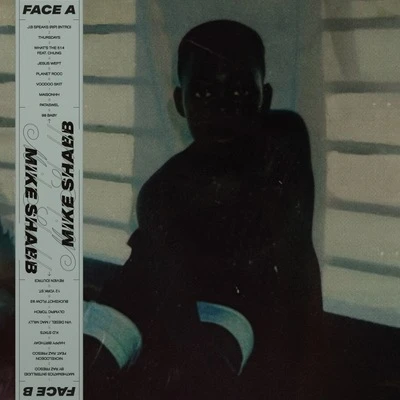 Mike Shabb – shabbvangogh LP レコード Near Mint - Mike Shabb