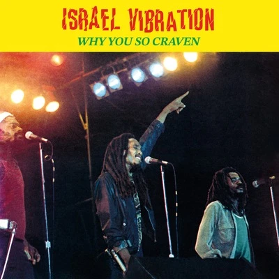 半額満載！スーパーSALE グランドセール！ Vinyl Factory Diggers - Craven So You Why - VIBRATION ISRAEL - その他
