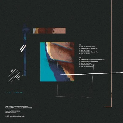 Vinyl - tajima hal & TOSHIKI HAYASHI (%C) - Thin Lines