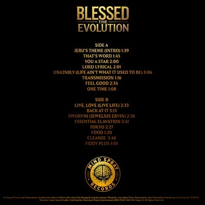 Vinyl - Jeru The Damaja - Blessed The Evolution - Vinyl