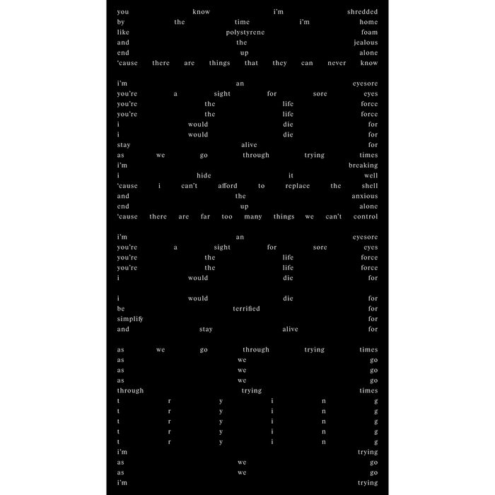 Merch - james blake - Black lyric t-shirt  (hover)