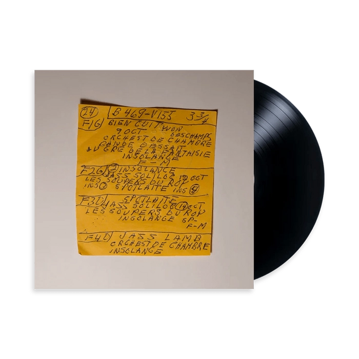 洋楽 Mac DeMarco Here Comes TheCowboy demo LP Vinyl - MAC DEMARCO - 'HERE COMES THE COWBOY DEMOS' LP