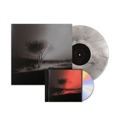 Bundle - Joji - Piss In The Wind Vinyl (Grayscale Cover + Clear Smoke Disc) + CD Bundle
