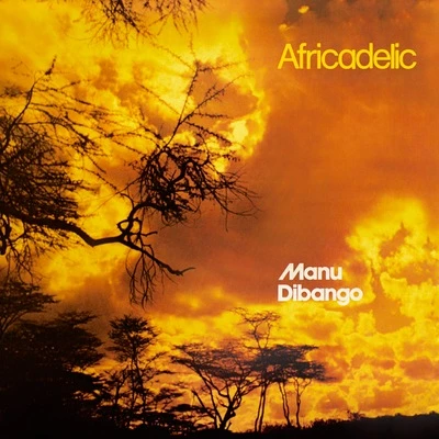 Vinyl - Manu Dibango - AFRICADELIC - Diggers Factory