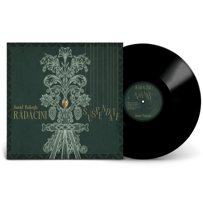 Vinyl - David Balogh - Rădăcini Suspendate