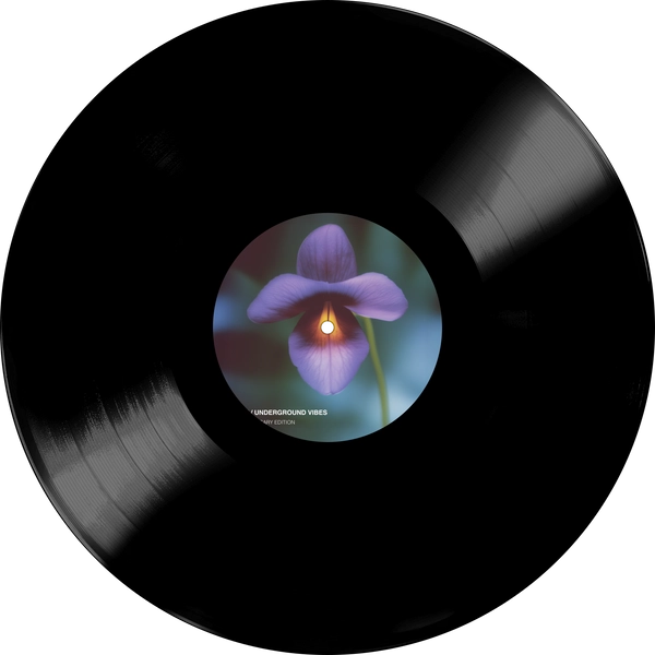 Vinyl - DJ Cam - Underground Vibes 