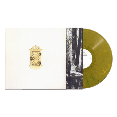 Vinyl - Liars - Sisterworld