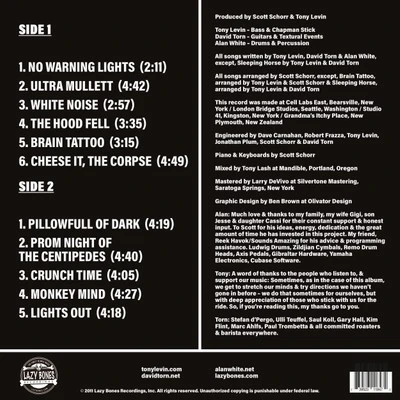 Vinyl - Levin Torn White - Levin Torn White - Numbered edition