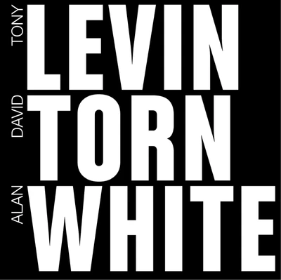Vinyl - Levin Torn White - Levin Torn White - Numbered edition