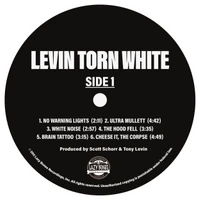 Vinyl - Levin Torn White - Levin Torn White - Numbered edition