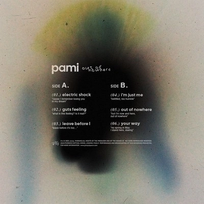 Vinyl - pami - out of nowhere - Diggers Factory