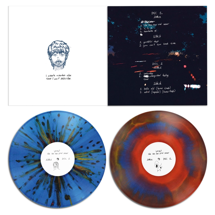Vinyl - what is your name? - The Now Now and Never - Diggers Factory