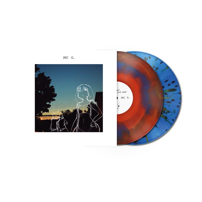 Vinyl - what is your name? - The Now Now and Never - what is your