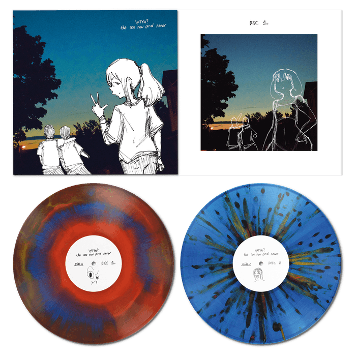 Vinyl - what is your name? - The Now Now and Never (hover)