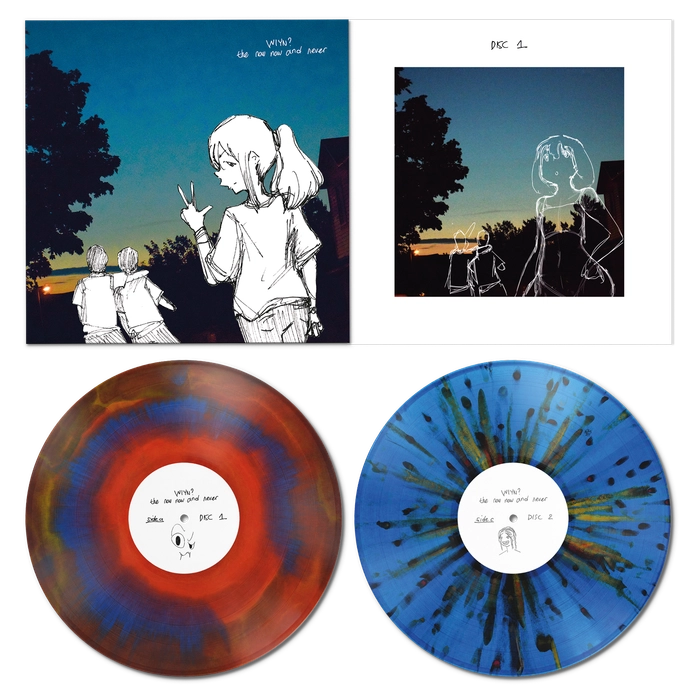 Vinyl - what is your name? - The Now Now and Never - Diggers Factory