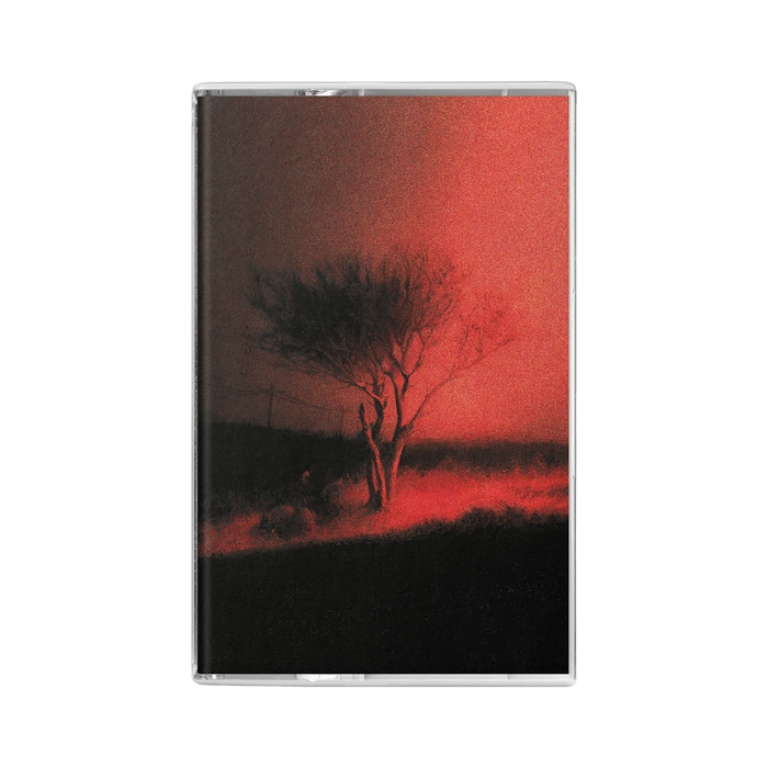 joji アルバムセット　２枚セット joji アルバムセット 2枚セット Joji】『Piss In The Wind』 HIP HOP