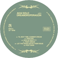 Vinyl - AKAI SOLO - DREAMDROPDRAGON - Black Vinyl - Diggers Factory