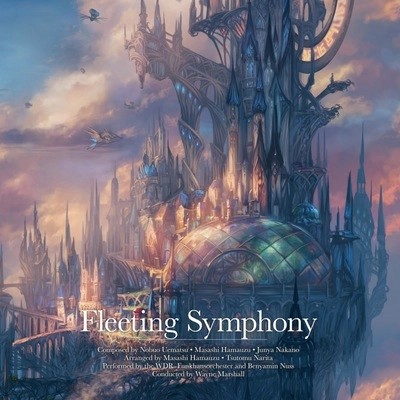 Vinyl - Fleeting Symphony - Music From Final Fantasy X (Vinyl