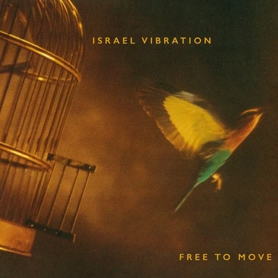 Vinyl - Israel Vibration - Free To Move - Diggers Factory