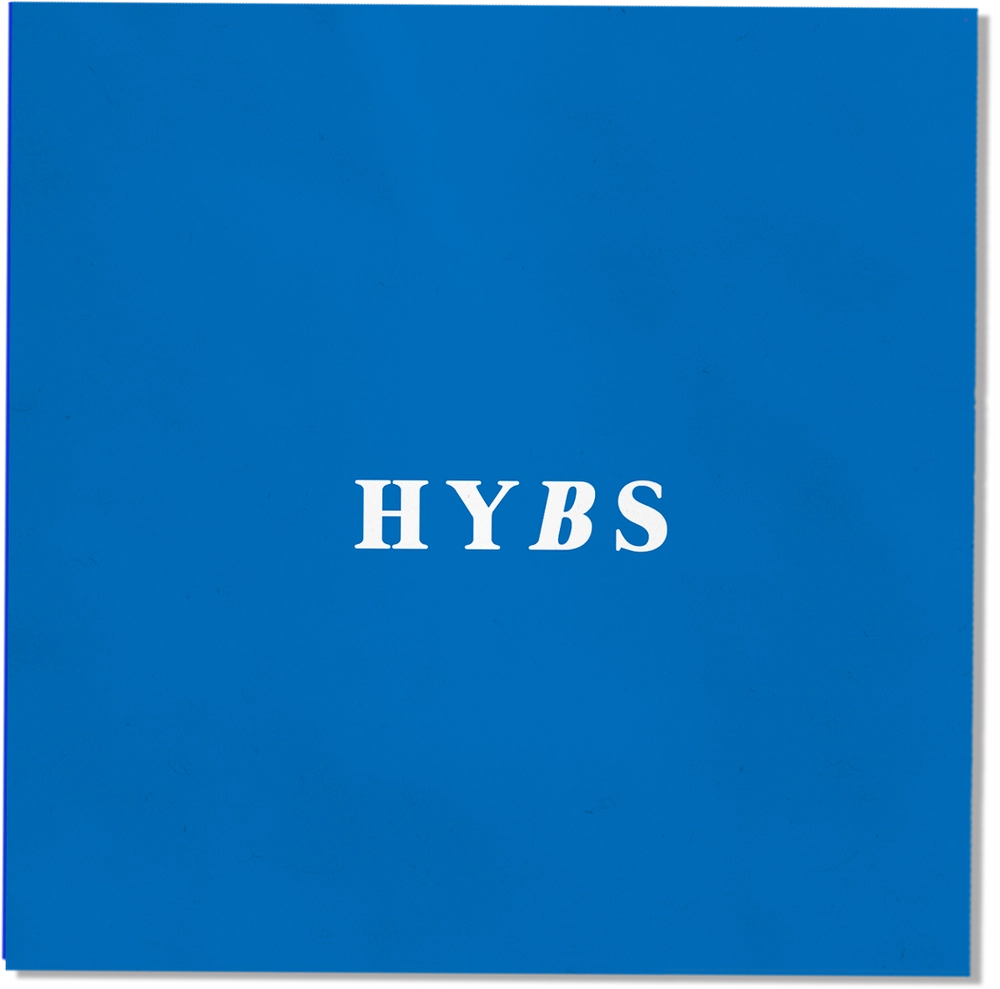 Vinyl - HYBS - Making Steak - Global Edition - Diggers Factory