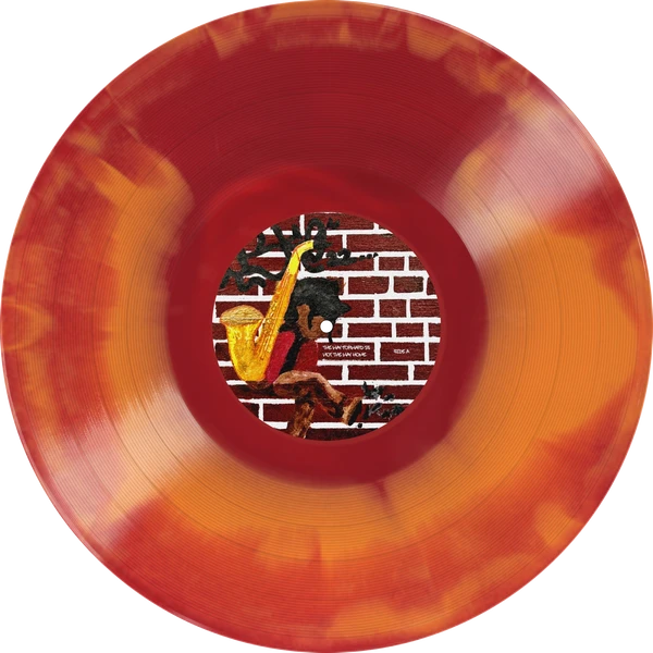 Vinyl - Diz - the way forward is not the way home - Hand numbered