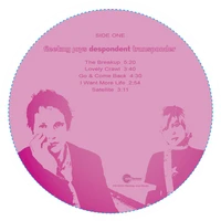 Vinyl - Fleeting Joys - Despondent Transponder - Diggers Factory