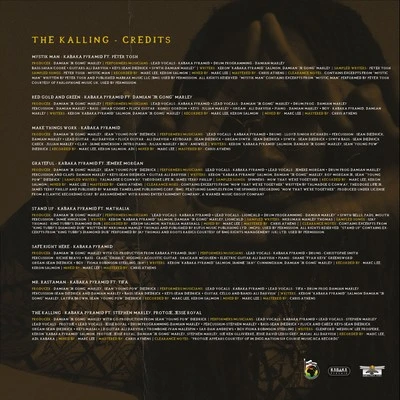 Kabaka Pyramid The Kalling 新品 レゲエ LPレコード Vinyl - Kabaka Pyramid - The Kalling [Black Vinyl] - Diggers