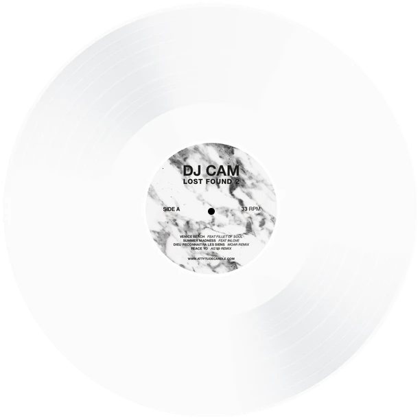 Vinyl - DJ Cam - Lost Found 2 - Diggers Factory