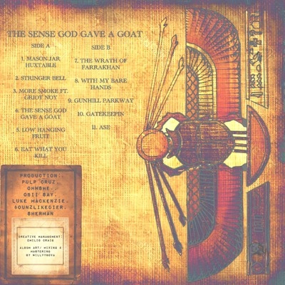 Vinyl - Willyynova - THE SENSE GOD GAVE A GOAT - Diggers Factory