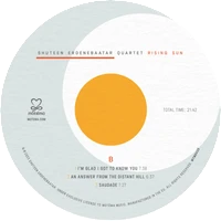 限定盤LP ディセクション  The Someberlain ピクチャー ○新品レコード○ 2025年8月26日 本日の新入荷 : ディスク