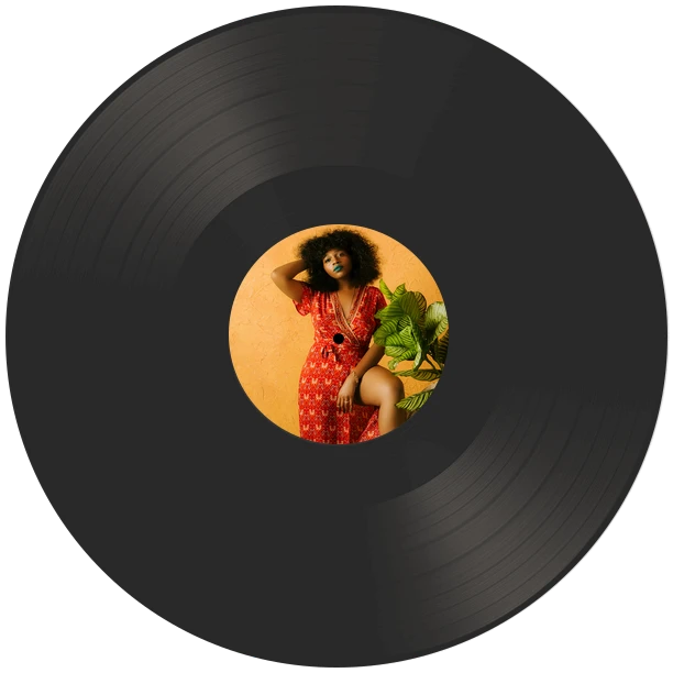 [新品レコード] Sweet Noise / lorine chia LP Record Sweet Noise / Lorine Chia Lp | eBay